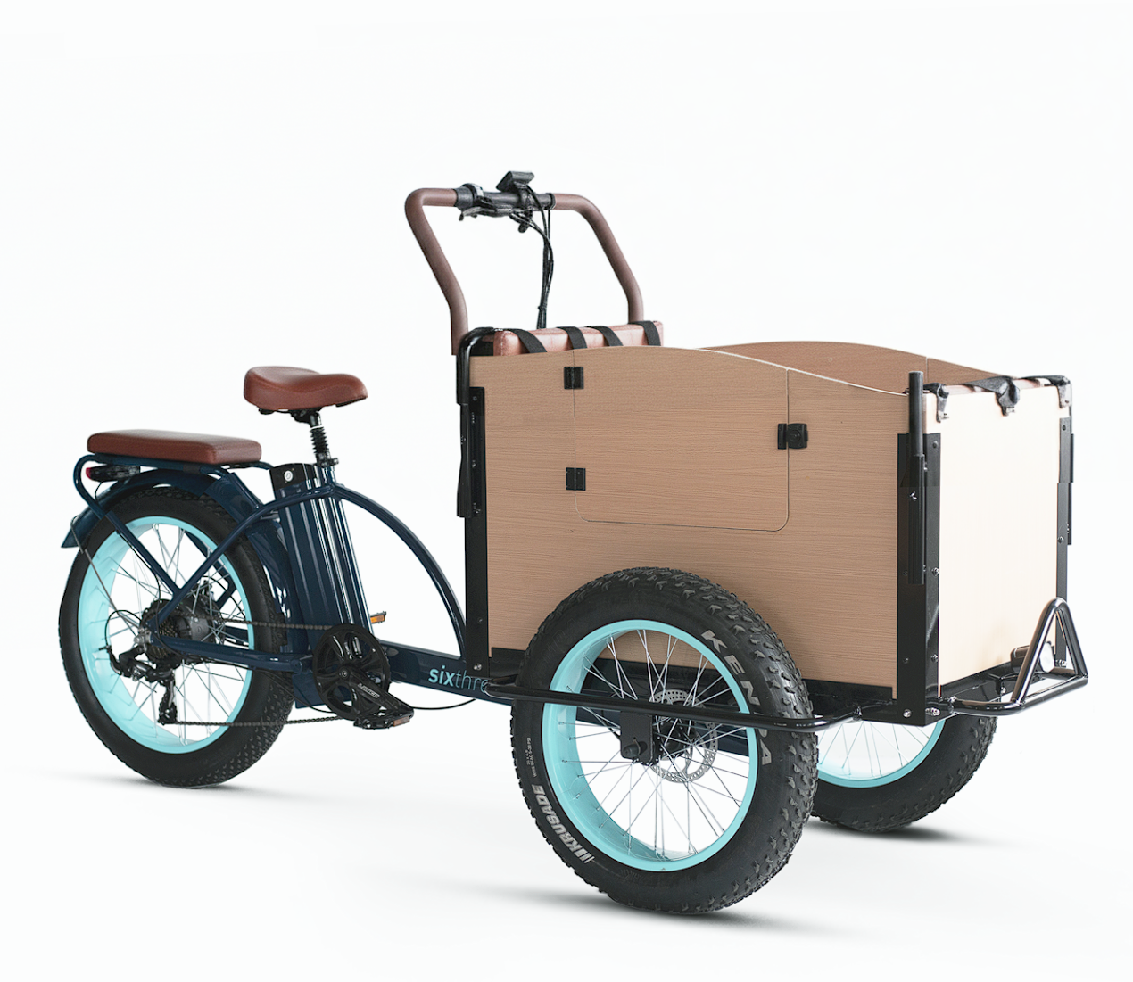 EVRYjourney Family Cargo E-Trike 1000W