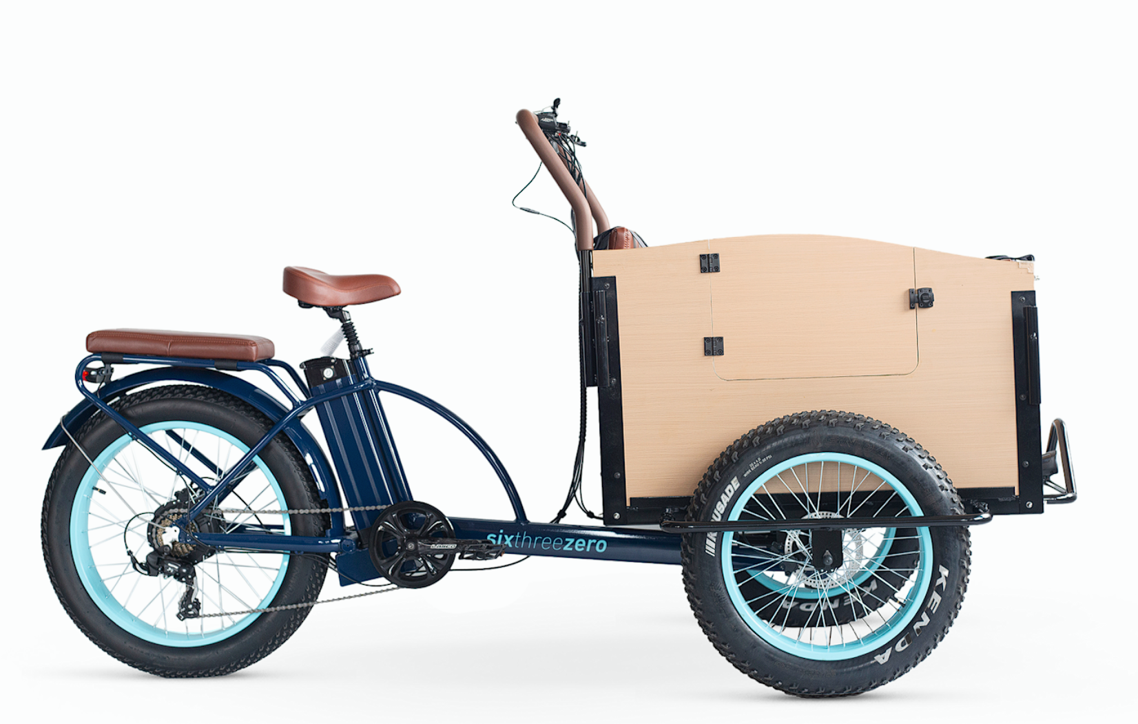EVRYjourney Family Cargo E-Trike 1000W
