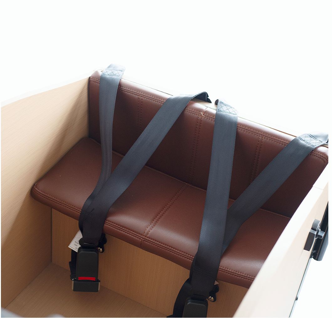 EVRYjourney Family Cargo E-Trike 1000W