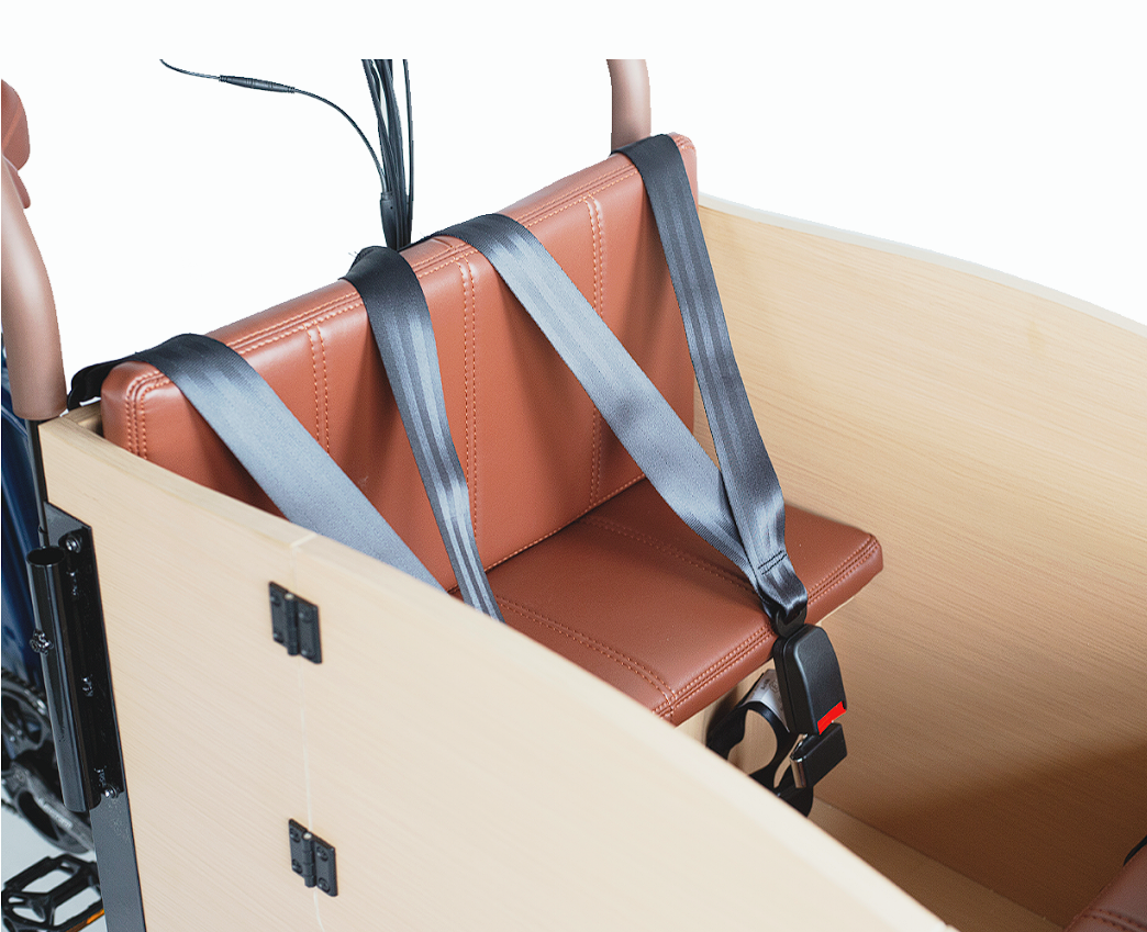 EVRYjourney Family Cargo E-Trike 1000W