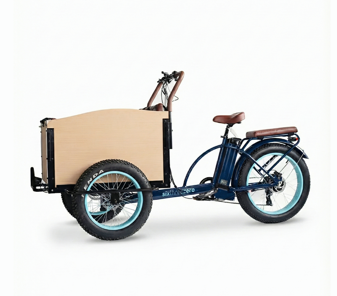 EVRYjourney Family Cargo E-Trike 1000W