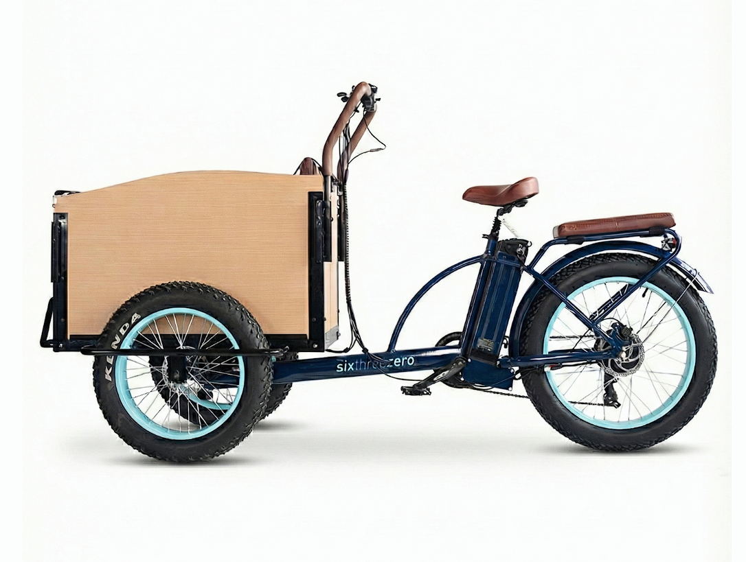 EVRYjourney Family Cargo E-Trike 1000W