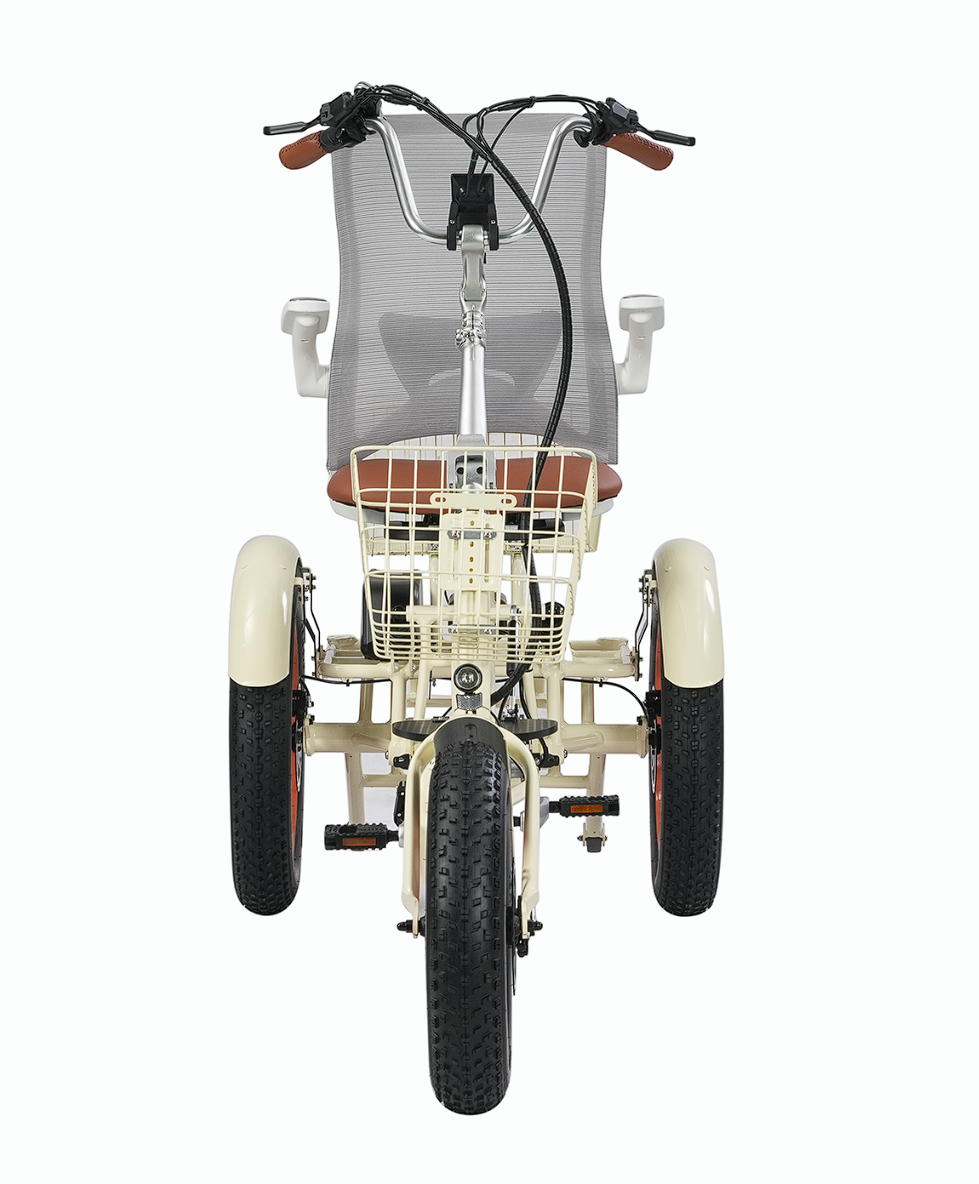 2026 Simple Glide Deluxe 750W Fat Tire Rear Motor E-Bike