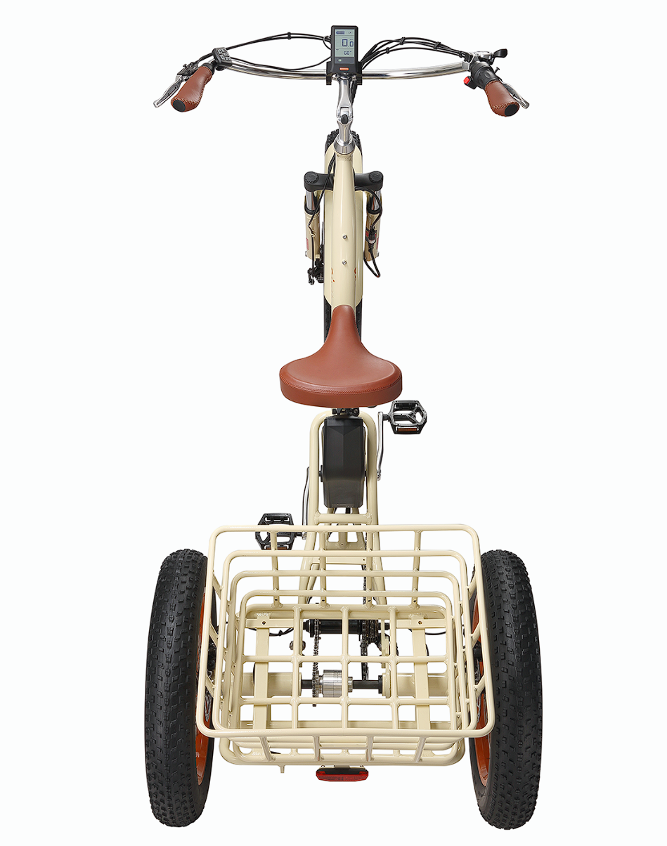 Simple Step Thru FAT Tire 3 Wheel Electric Bike