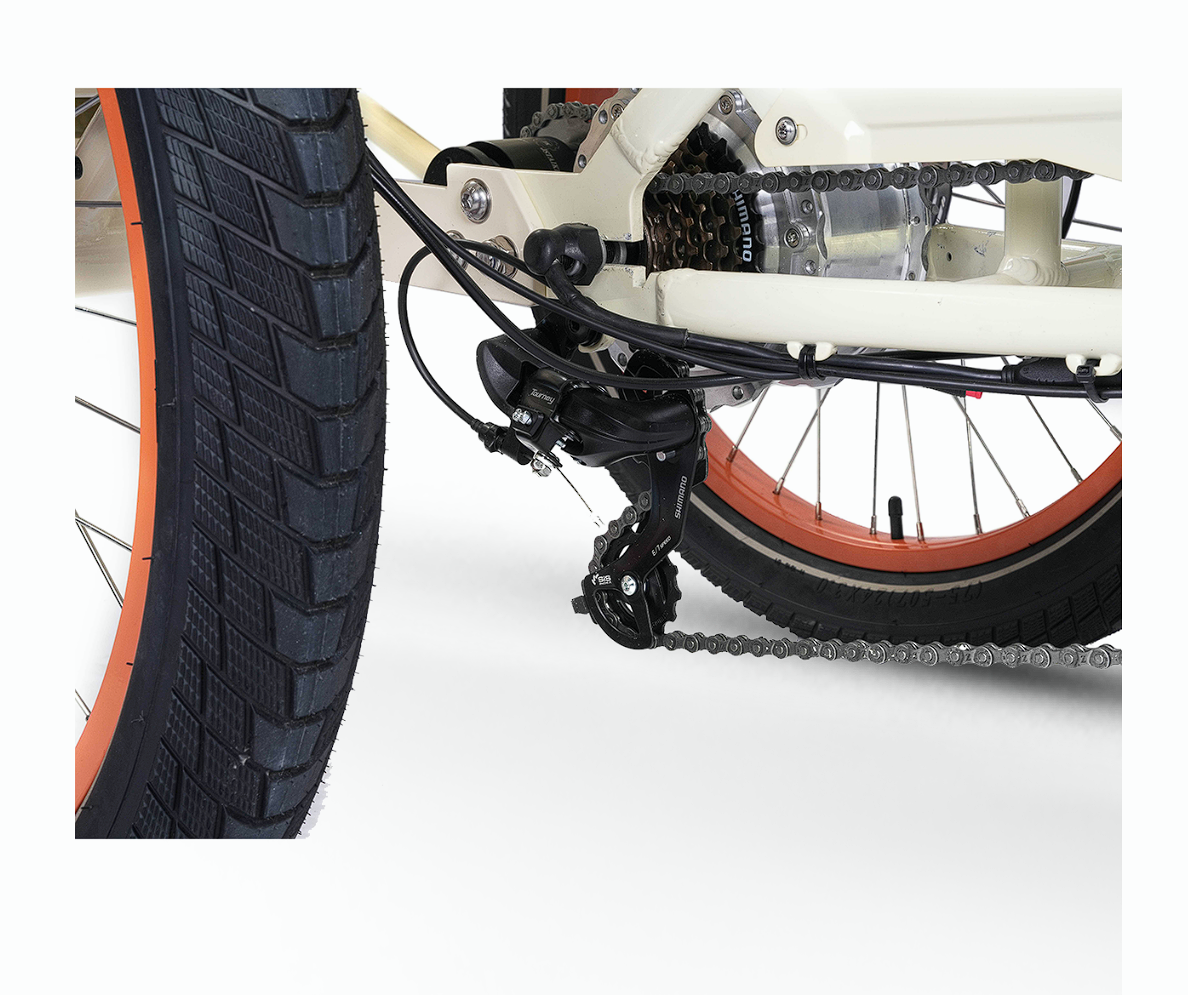 EVRYjourney Electric Trike Tandem 750W
