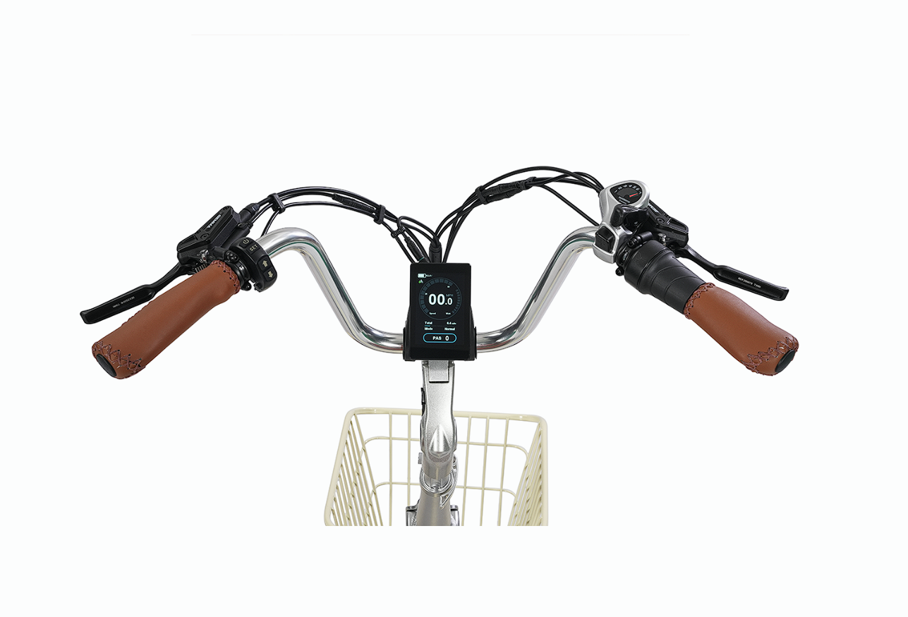 Simple Glide 4 Wheel 750W E-Bike