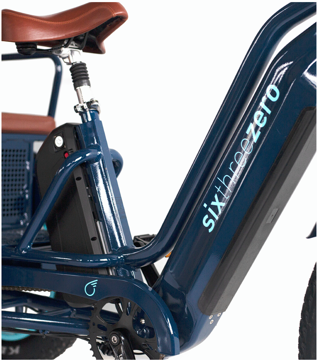 EVRYjourney E-Bike Rickshaw Dual 750W (Max 1500W, Dual Battery, Total 42Ah)