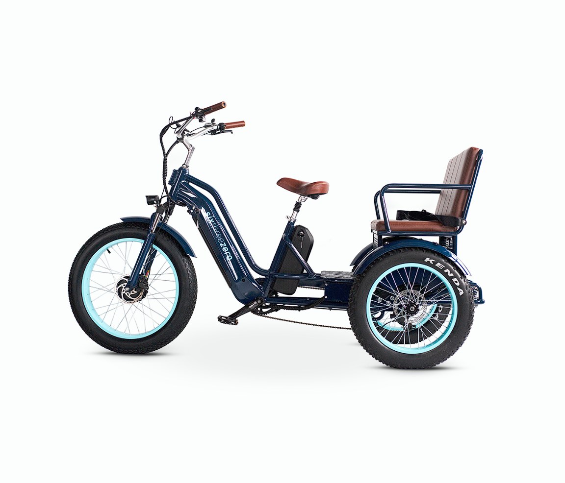 EVRYjourney E-Bike Rickshaw Dual 750W (Max 1500W, Dual Battery, Total 42Ah)