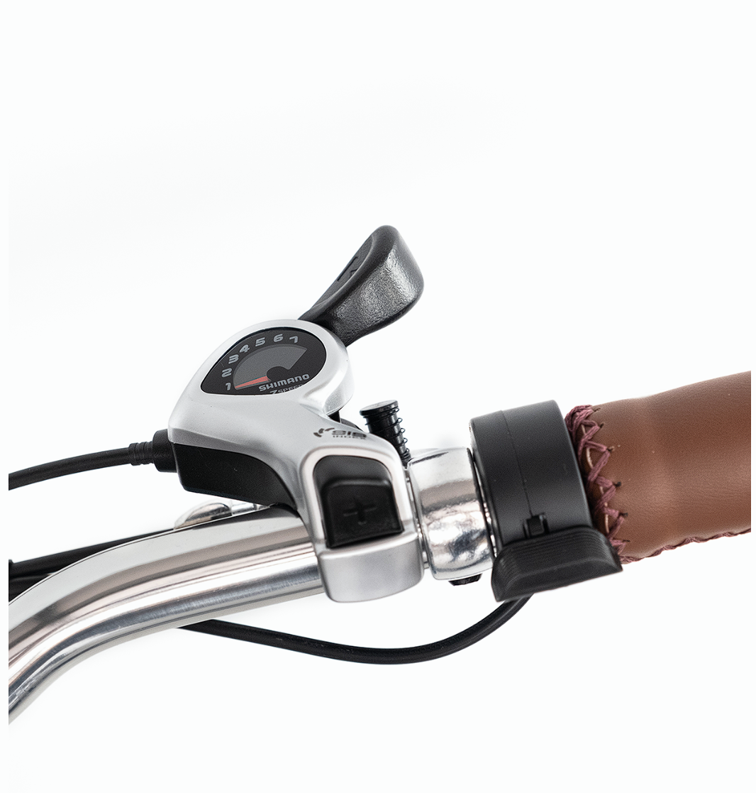 EVRYjourney Electric Tricycle Rickshaw 750W with Passenger Seat
