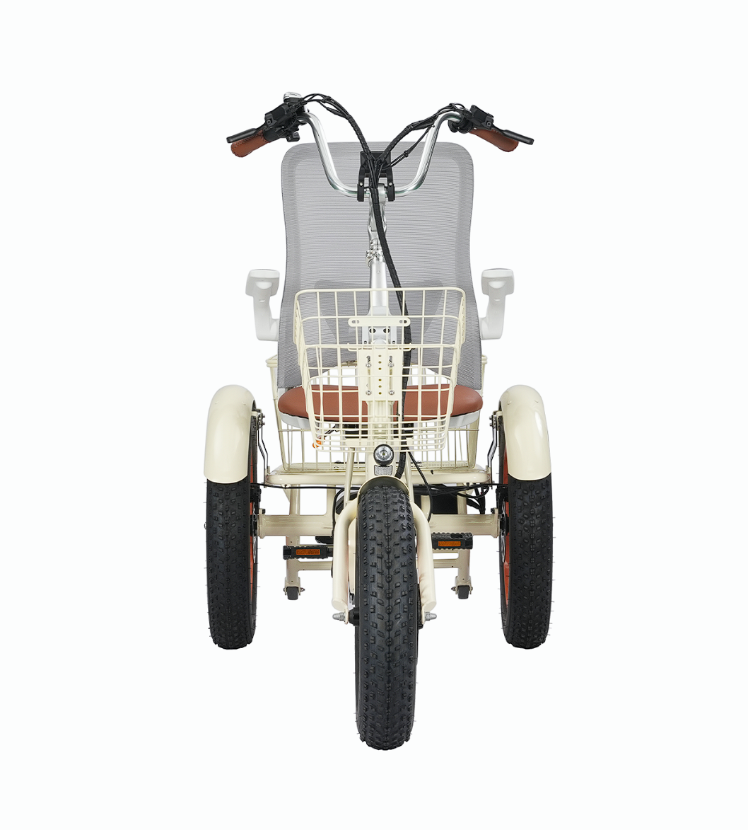 Simple Glide Low Seat 750W Recumbent E-Trike OPEN BOX RETURN