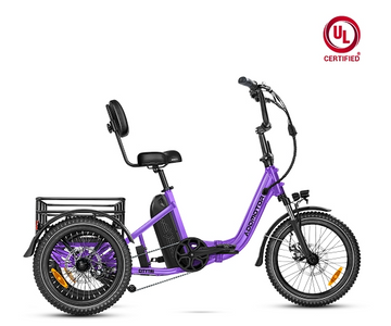 Citytri E-310 Folding Electric Trike