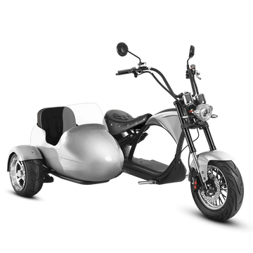 Eahora M1P + Sidecar