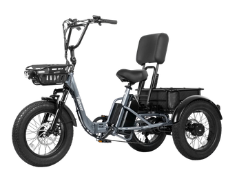 Creek Pro Electric Passenger Trike