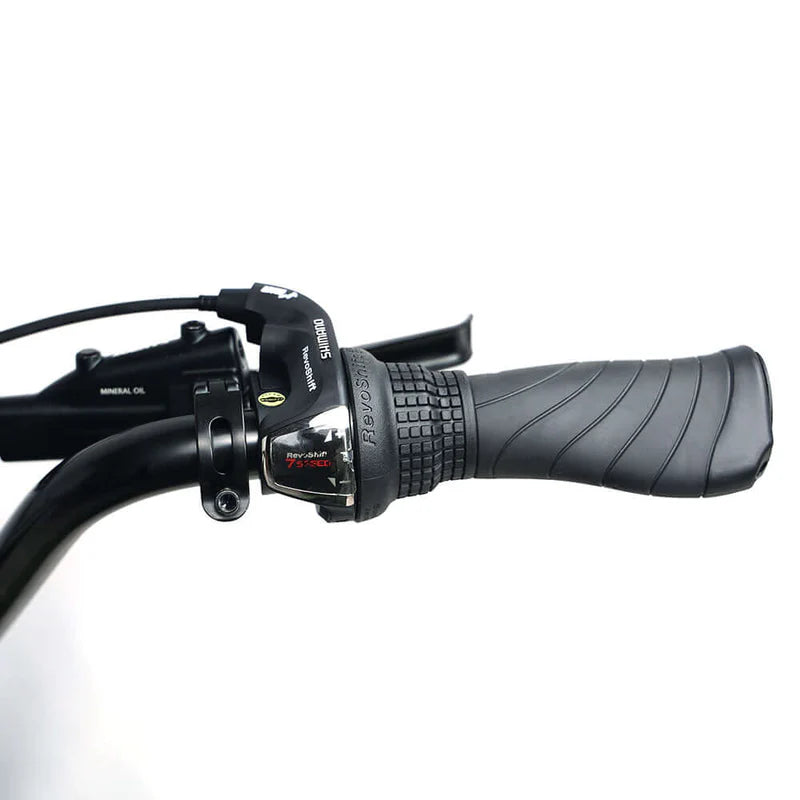 Tracer Verge 20"X4.0 Wheel 800W Fat Electric Motorbike