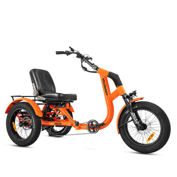 Freetan M-368X Full-Suspension Semi-Recumbent Electric Trike