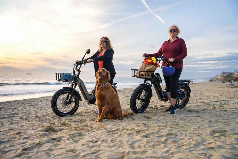 Himiway D5 2.0 20" E-Bike