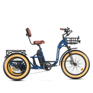 Grandtan X Full-Suspension Fat Tire Electric Trike