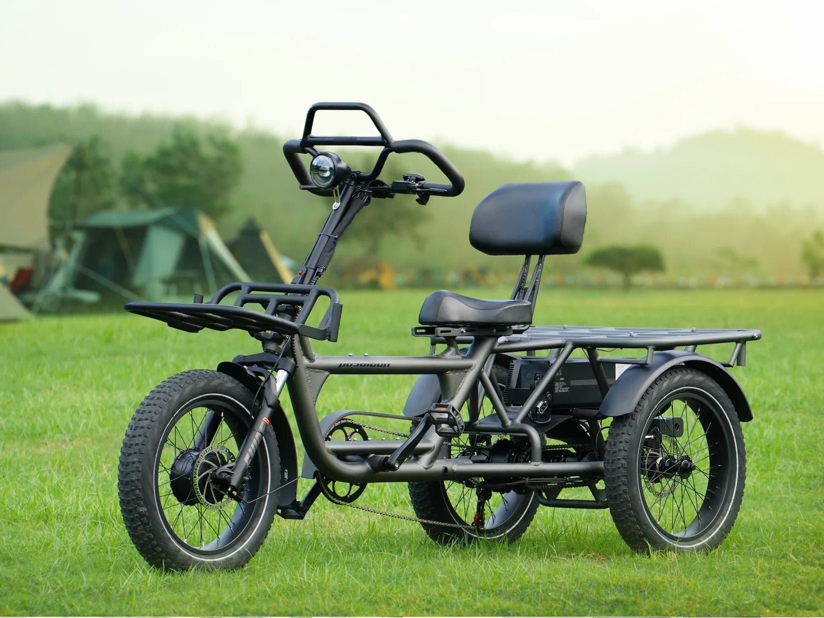 LLAMA Trike HT10 Dual Motor Fat Tire Electric Trike