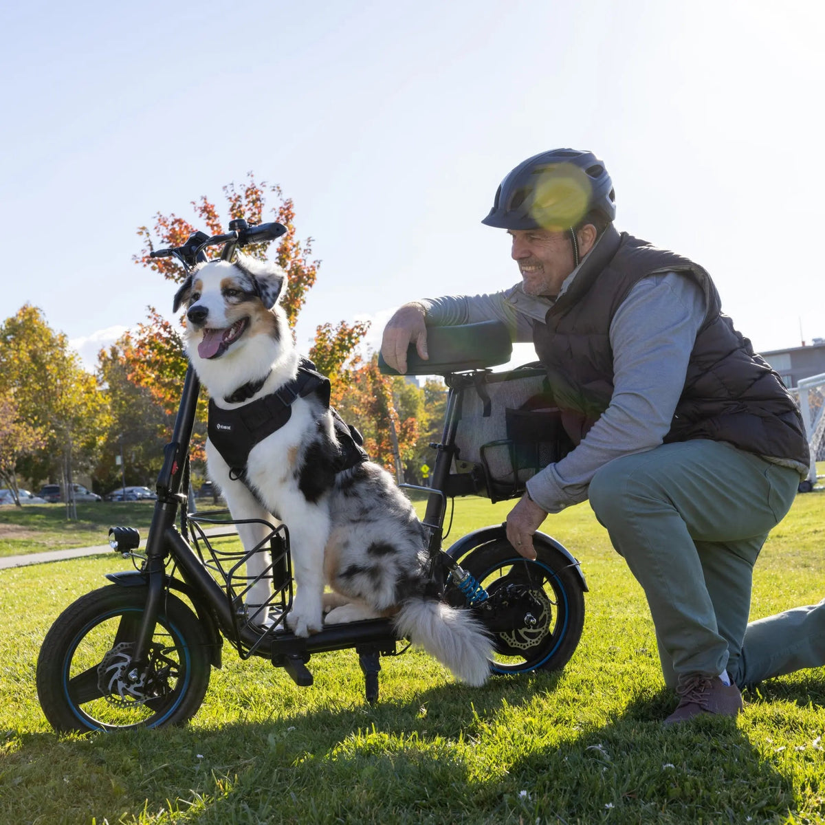 Gyroor C1S Electric Scooter with Seat – 550W, 36V 7.8Ah, 20-Mile Range