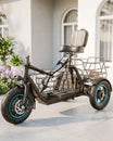 C5 Electric Trike with Removable Dual Baskets