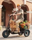 C5 Electric Trike with Removable Dual Baskets