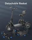 C5 Electric Trike with Removable Dual Baskets