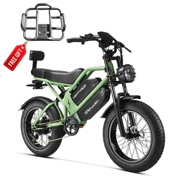 HappyRun G70 2000W Dual Battery Fast Electric Cargo Bike