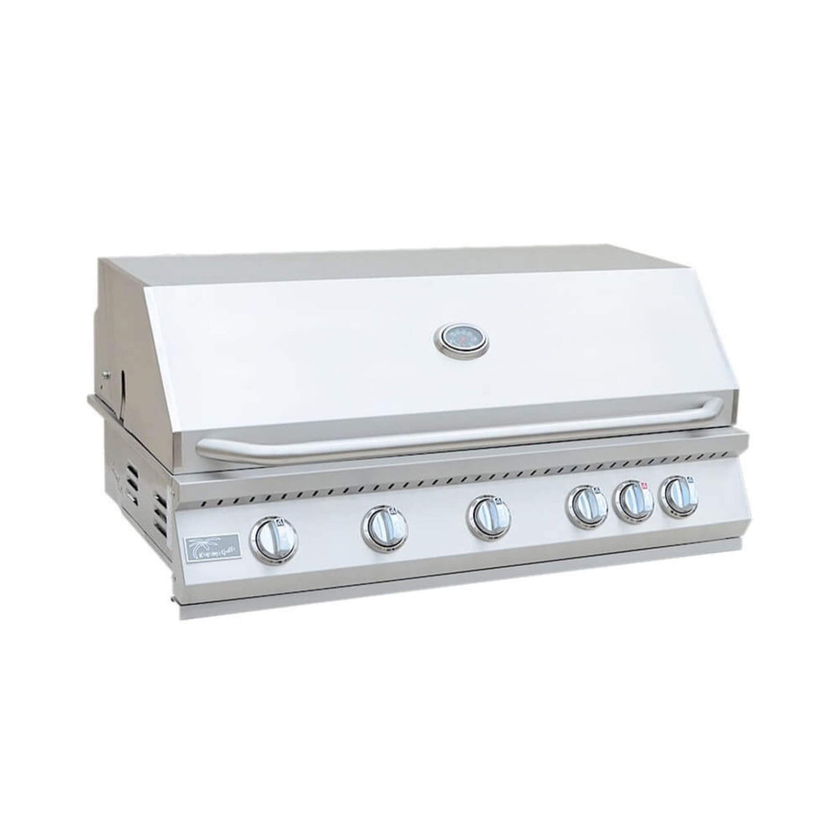 40-Inch Heavy-Duty 72K BTU LP/NG 5-Burner Built-In Stainless Steel Gas Grill