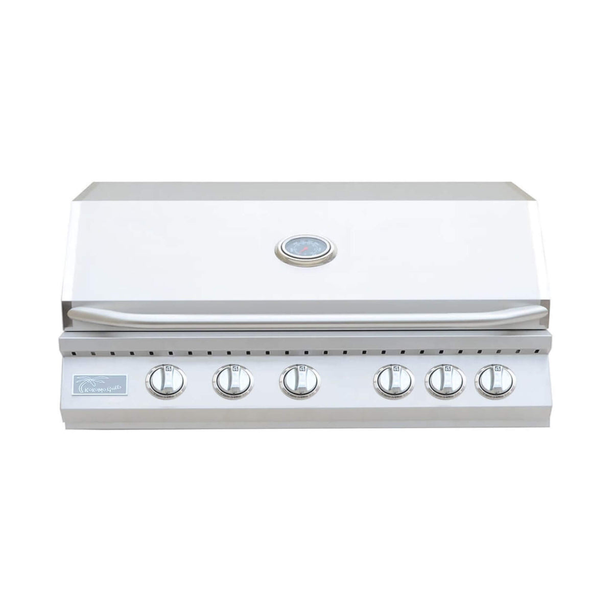 40-Inch Heavy-Duty 72K BTU LP/NG 5-Burner Built-In Stainless Steel Gas Grill