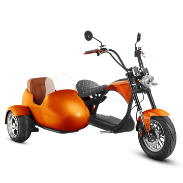 Eahora M1P + Sidecar