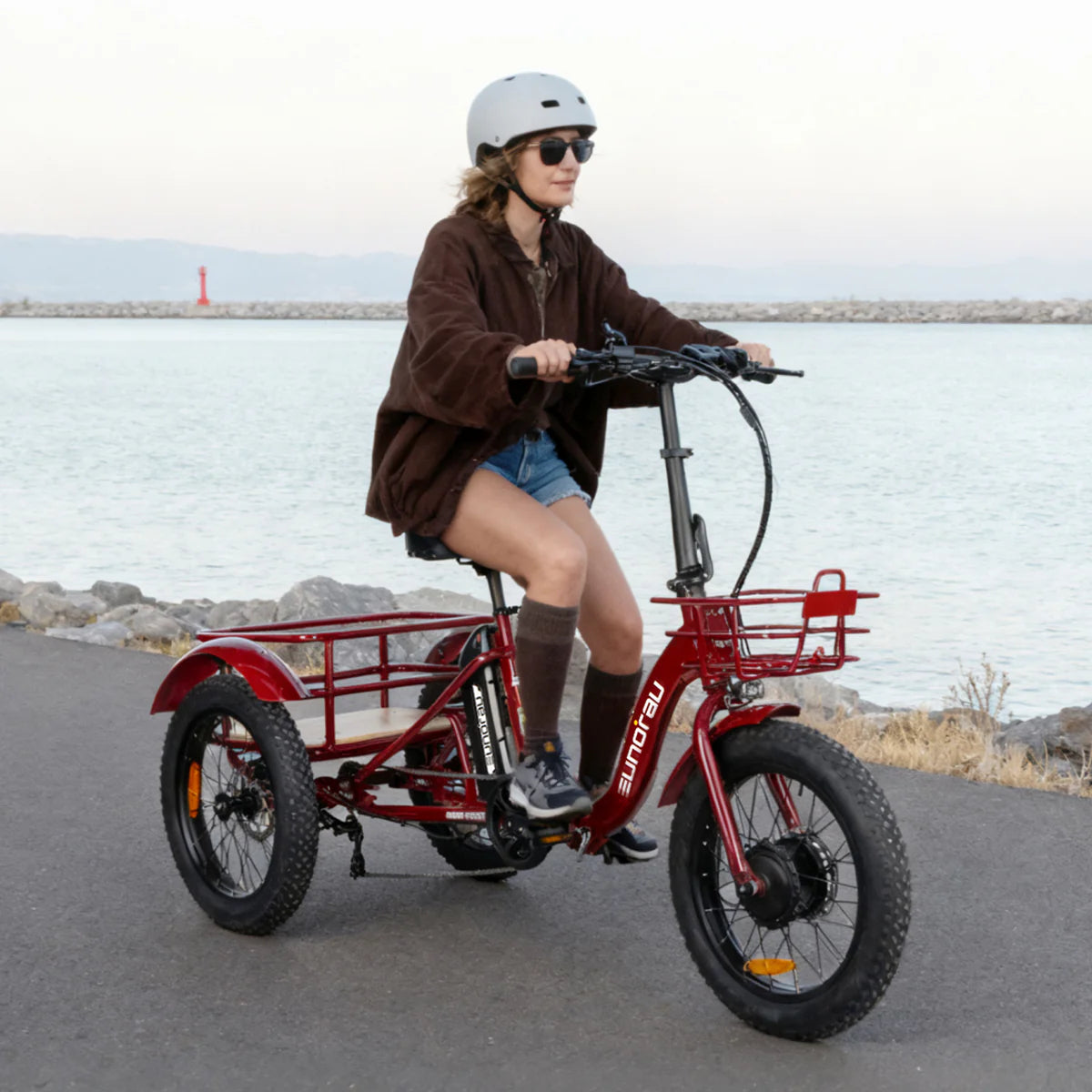 NEW-TRIKE 2.0