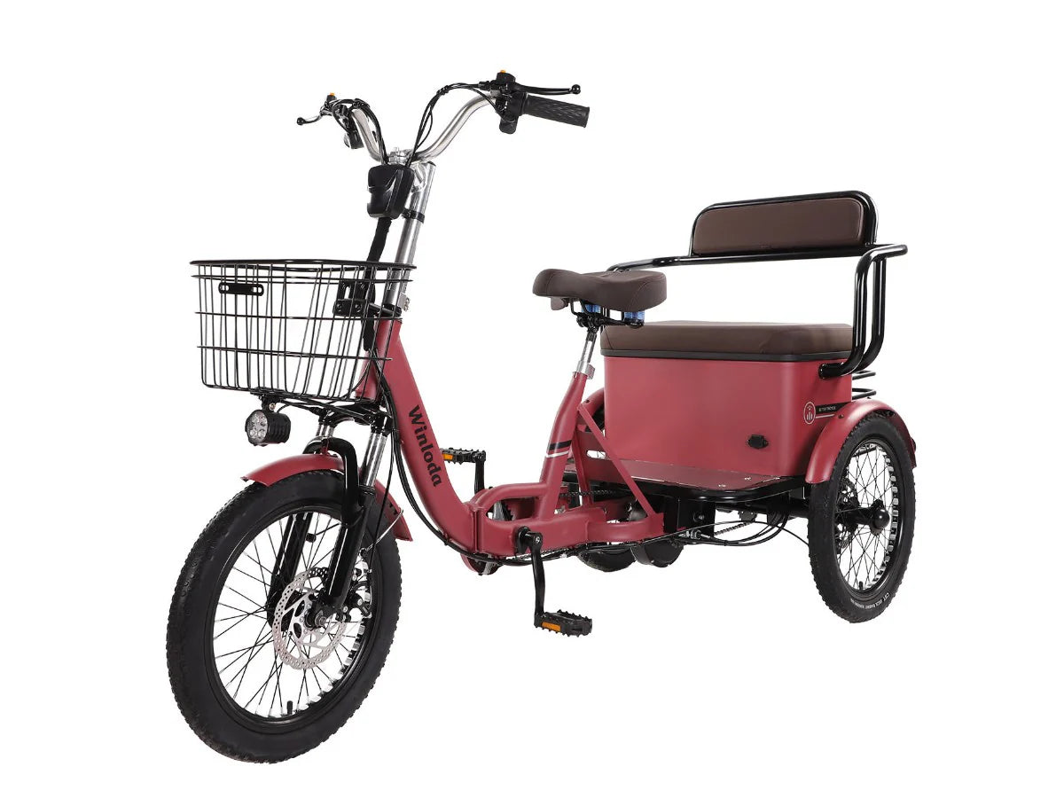 LLAMA Kindred Electric Trike