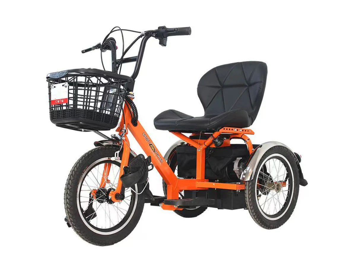 LLAMA Oasis Electric Trike