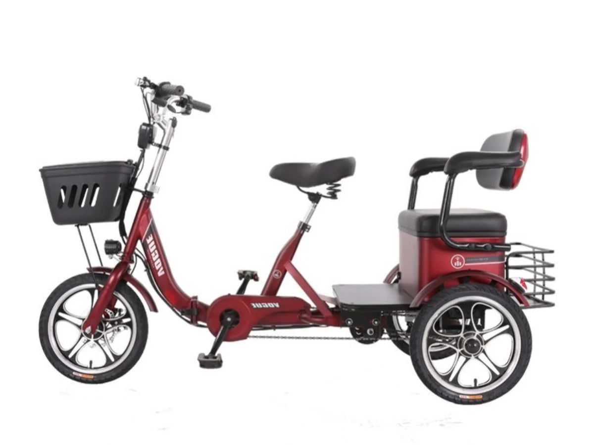 LLAMA Odyssey Electric Trike