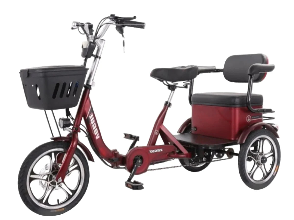 LLAMA Odyssey Electric Trike