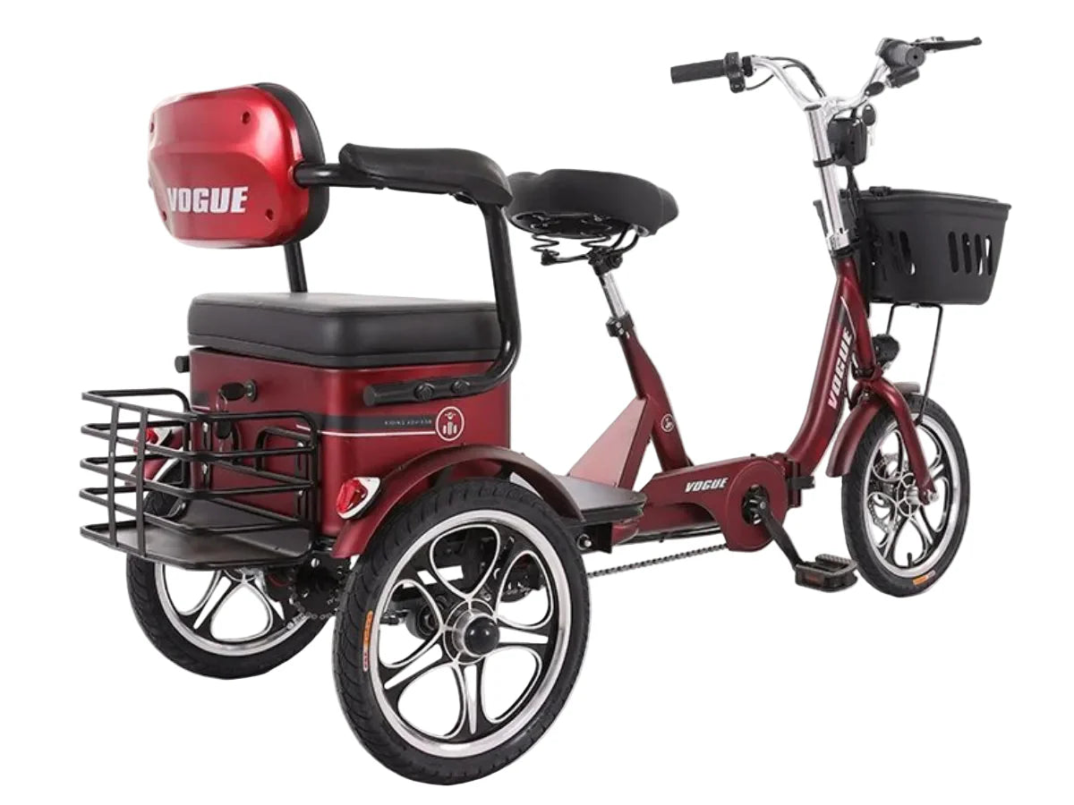 LLAMA Odyssey Electric Trike