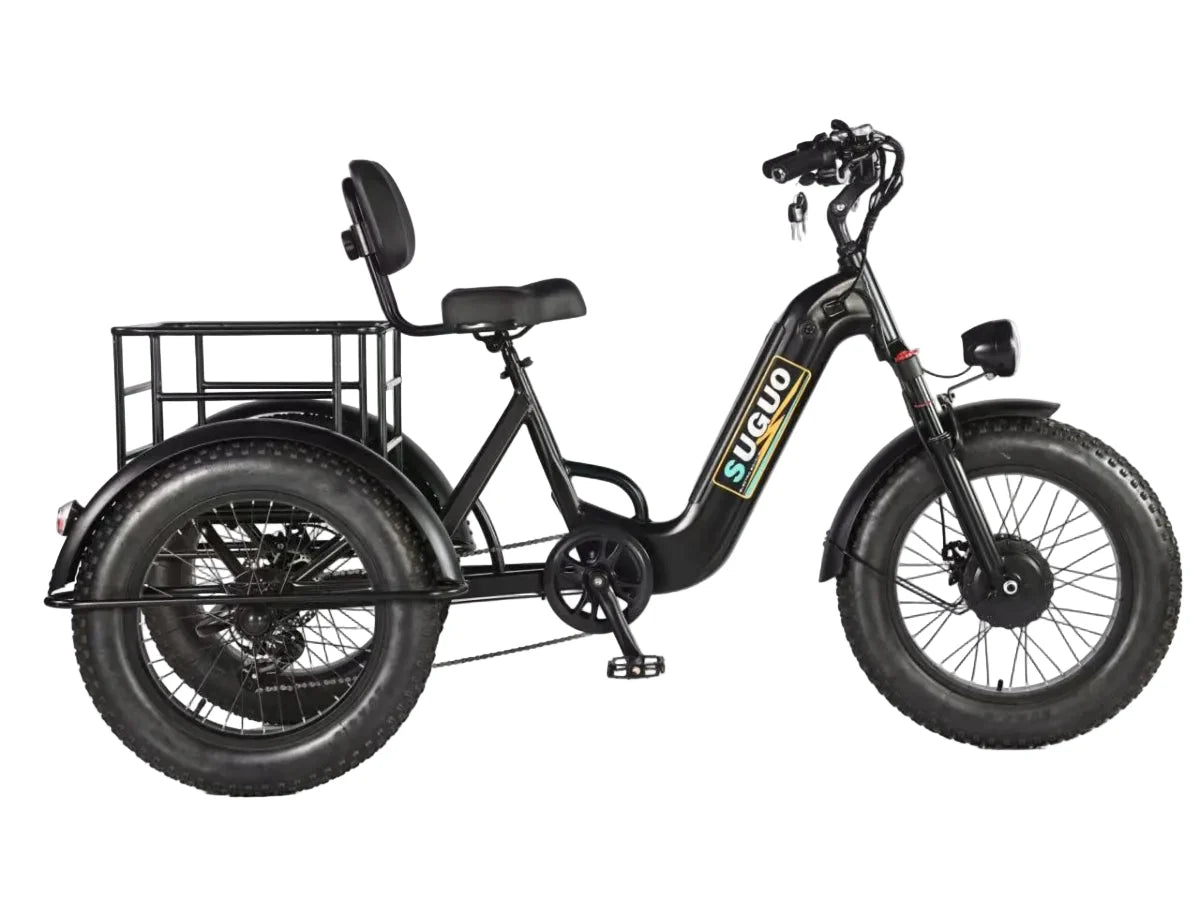 LLAMA Sledge Electric Trike