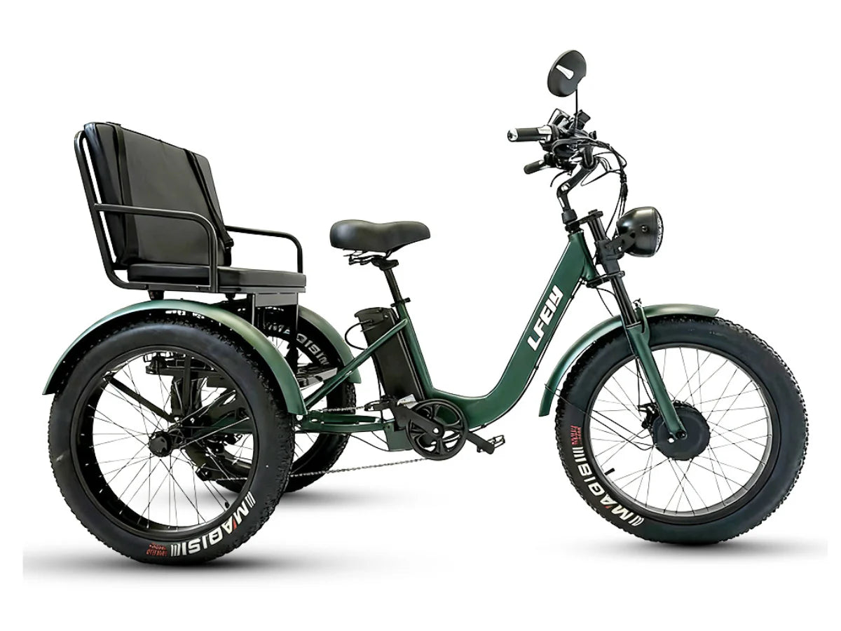 LLAMA Ridgeway Electric Trike