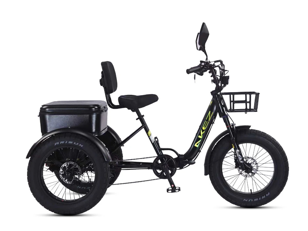 LLAMA Rover 1000W Rear-Drive Foldable Ultra-Range Fat Tire Electric Trike