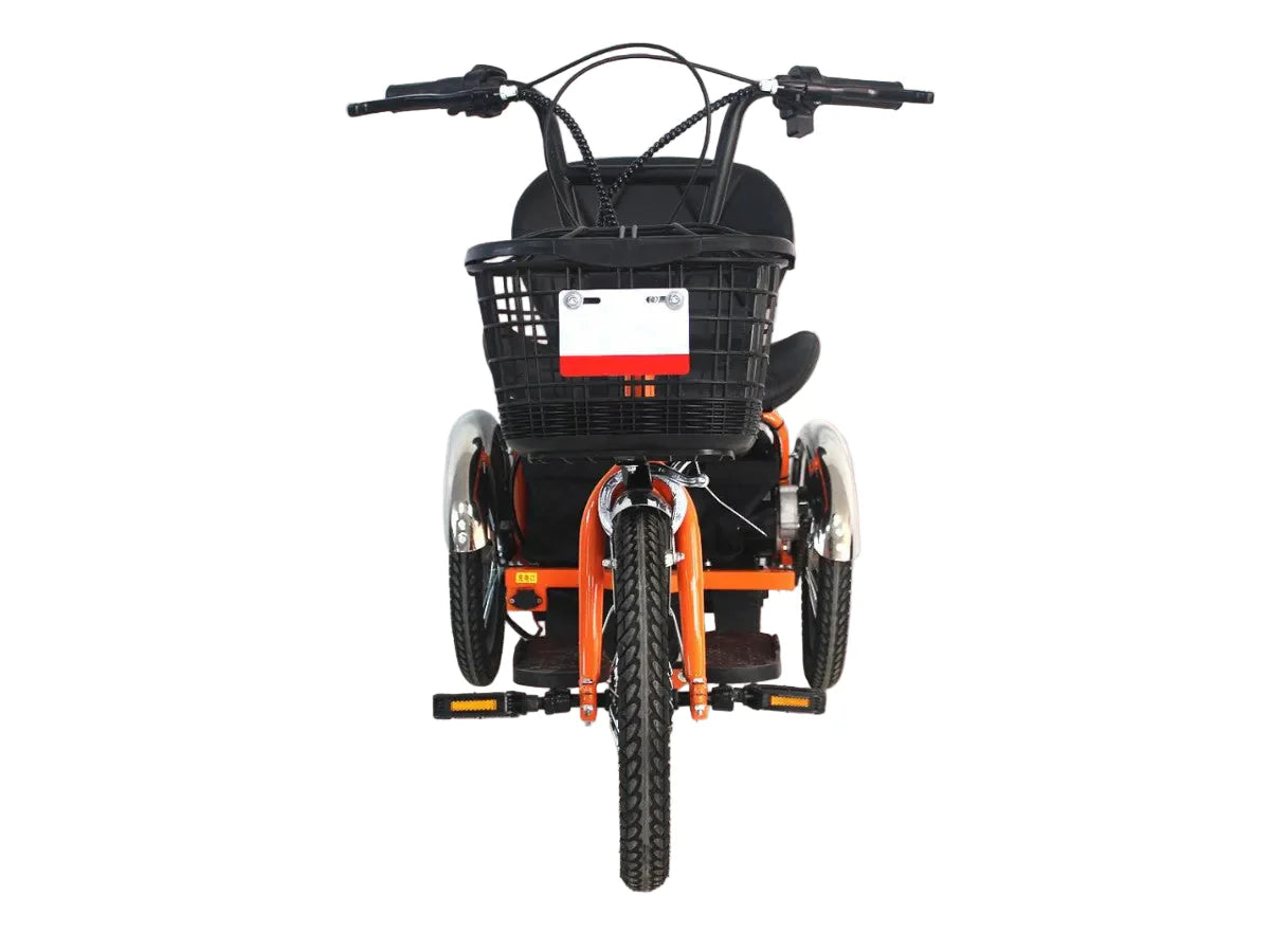 LLAMA Oasis Electric Trike