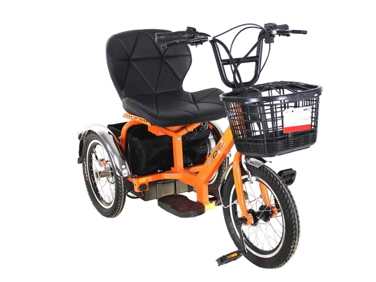 LLAMA Oasis Electric Trike