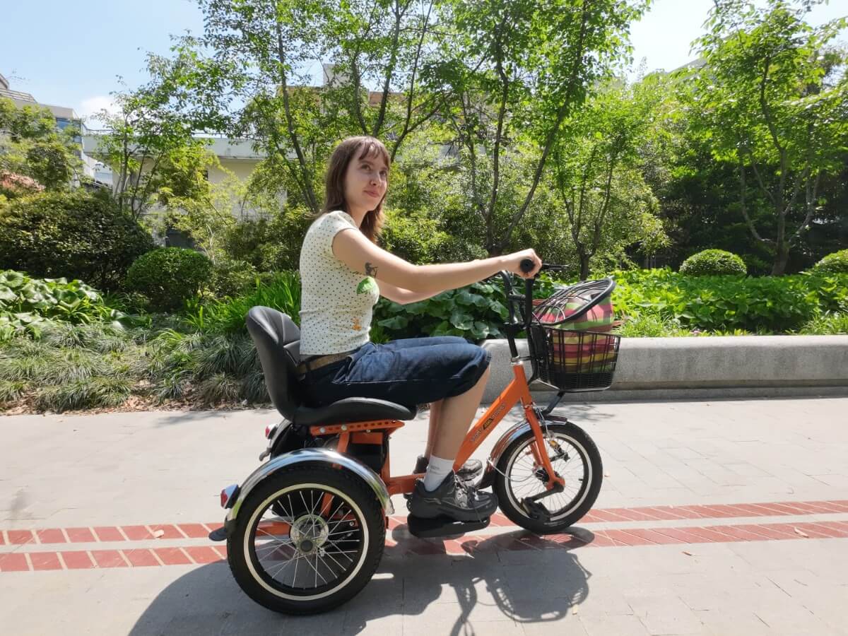 LLAMA Oasis Electric Trike