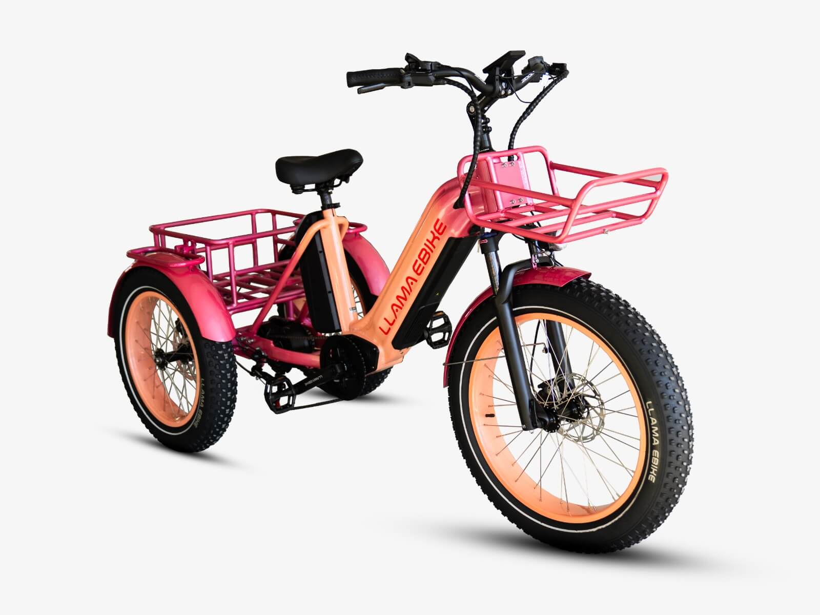 LLAMA Trike CT10 Fat Tire Electric Cargo Trike